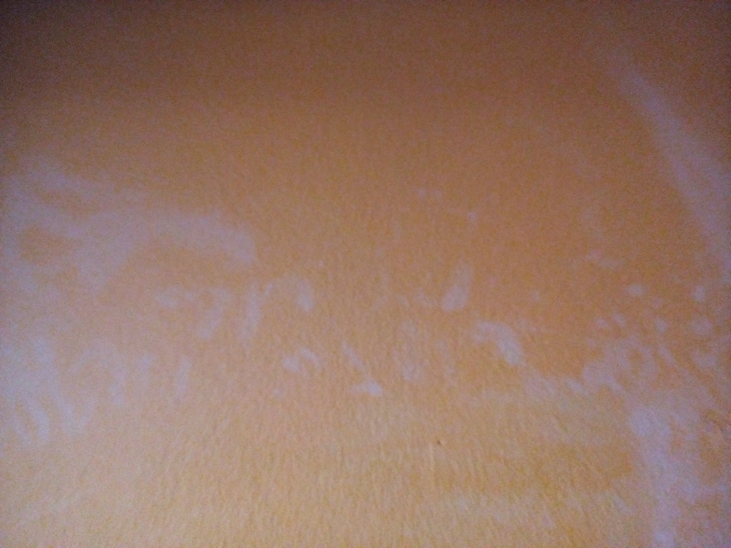 WeiÃer "belag" auf gestricherne wand? (farbe, schimmel, streichen)