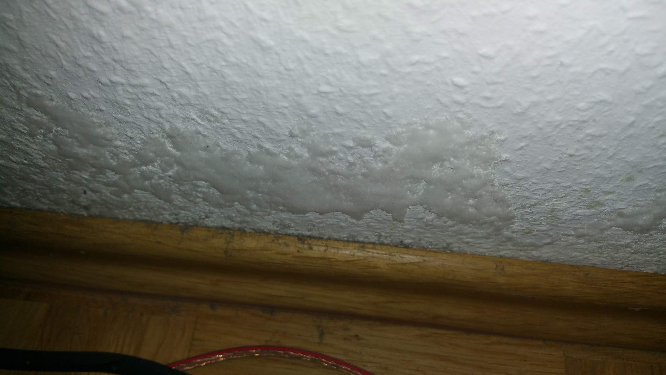 Weißer Schimmel auf der Tapete hinter der Couch? (Wohnung, Vermieter, Flecken)