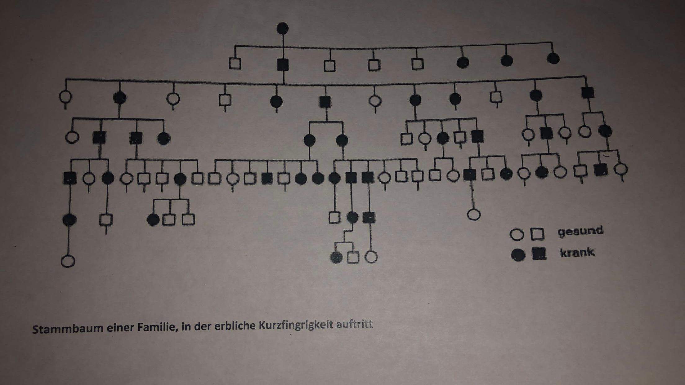 Weitere Stammbaumanalyse ? (Biologie)