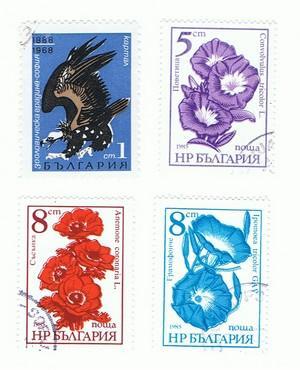 Unbekannte Briefmarke(n) 11 - (Briefmarken, Sammler)