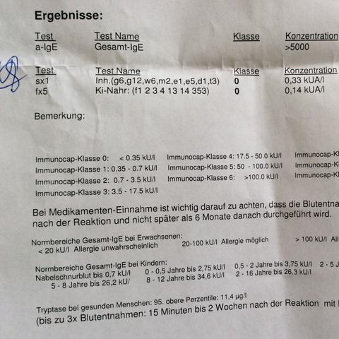 Dokument allergietest - (Gesundheit, Arzt, Krankheit)