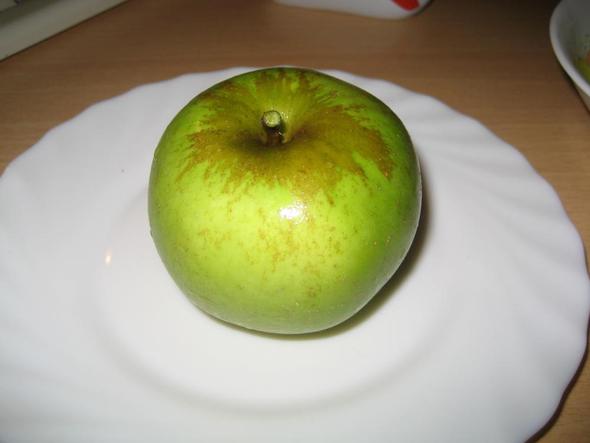 Apfel1 - (Garten, Obst, Apfel)