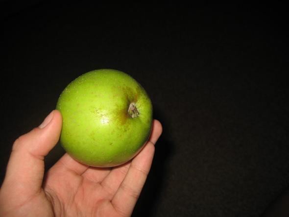 Apfel2 - (Garten, Obst, Apfel)