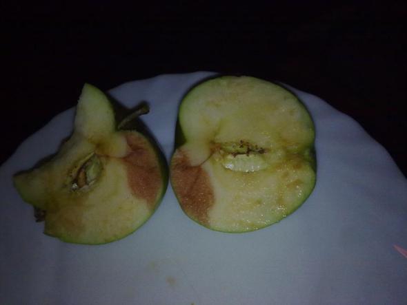 Apfel3 - (Garten, Obst, Apfel)