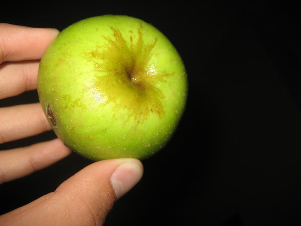 Welche Apfelsorte ist das? (Garten, Obst, Apfel)