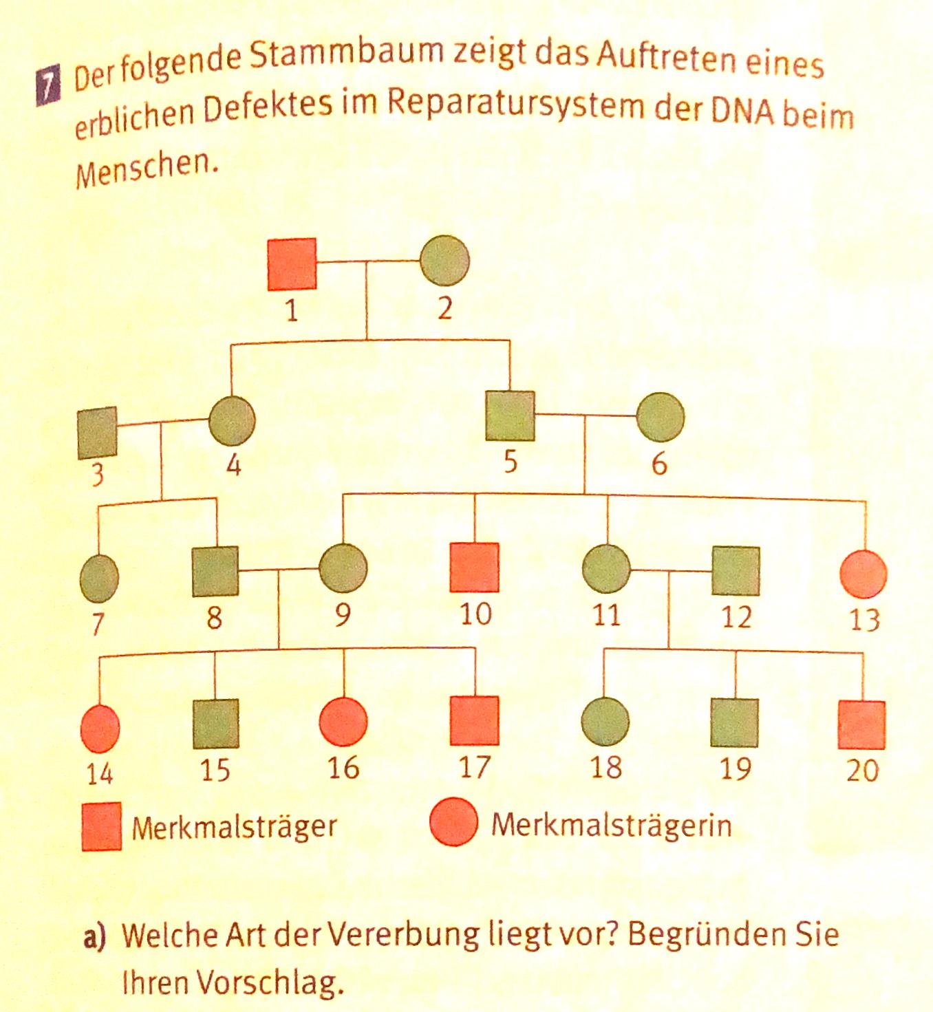 Welche Art Der Vererbung Liegt Vor Und Warum? (Schule, Menschen, Biologie)