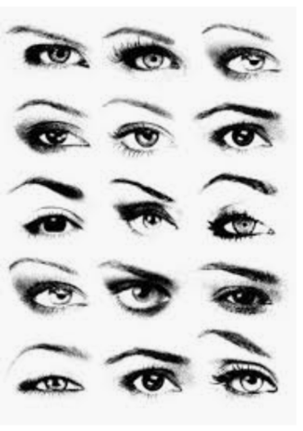 - (Beauty, Schönheit, Augenbrauen)
