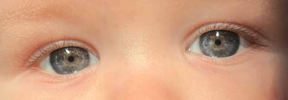 Welche Augenfarbe bekommt mein Sohn?