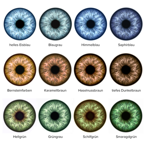 Welche Augenfarbe findet ihr am schönsten und welche habt ihr?