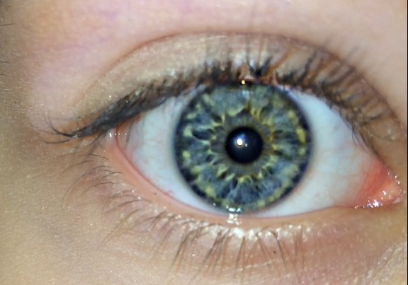 Welche augenfarbe habe ich bilder Welche augenfarbe habe ich bilder