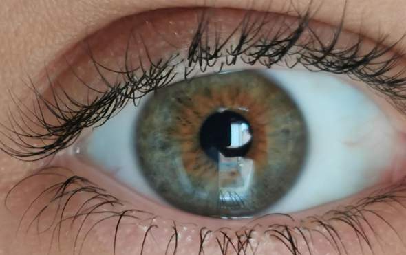 Welche Augenfarbe habe ich? (Augen)