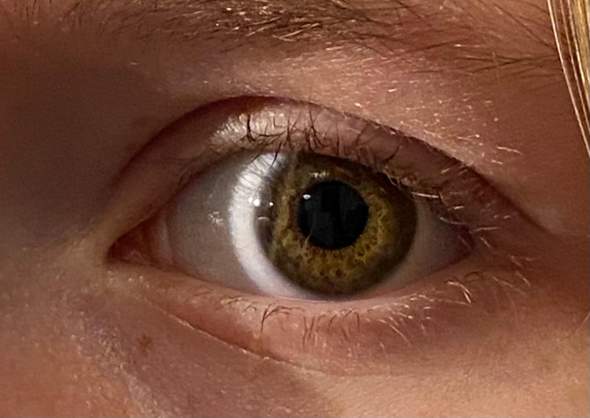 Welche Augenfarbe habe ich?