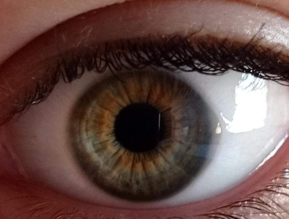 Welche Augenfarbe habe ich? (Biologie, Augen, Farbe)