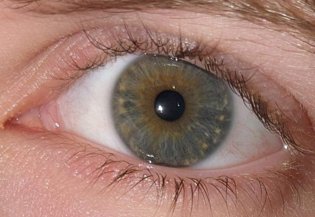 Welche Augenfarbe habe ich? (Augen)