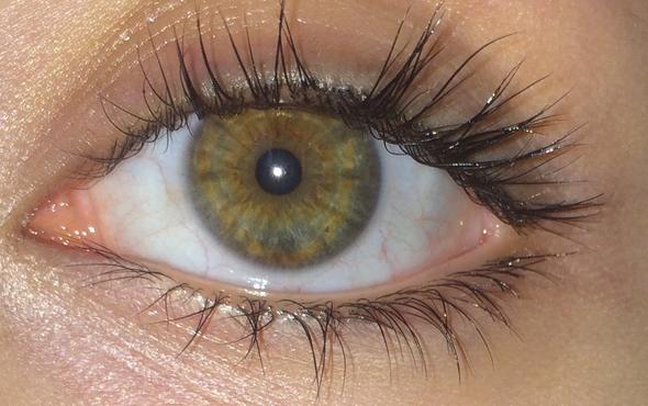 Mein Auge - (Körper, Menschen, Augen)