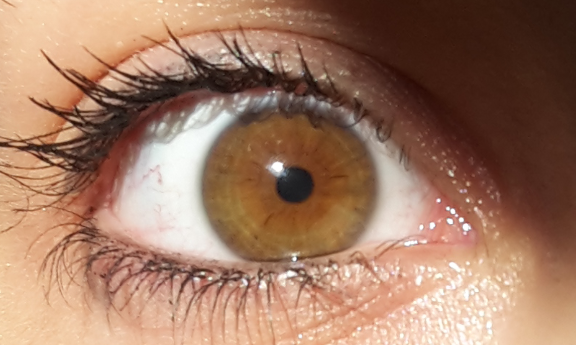 Gelb Braune Augen