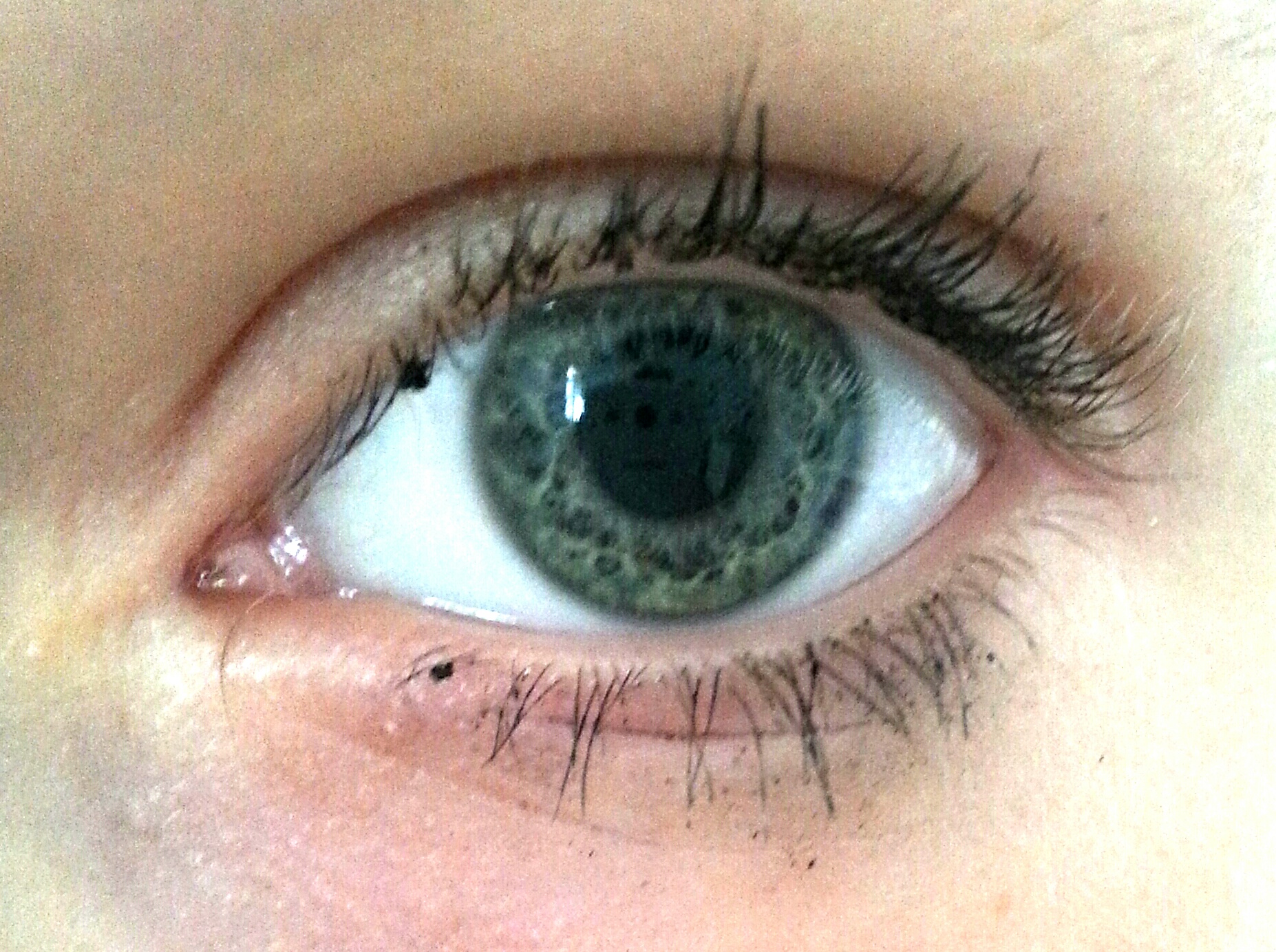 welche augenfarbe habe ich gr n oder blau Beauty Augen welche augenfarbe habe ich gr n oder blau Beauty Augen