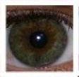 Augenfarbe - (Augen, Farbe, Gesicht)