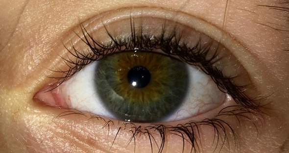 Welche Augenfarbe habe ich, ist sie selten?