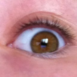 Das rechte Auge, das linke gleich. - (Beauty, Augen, Farbe)