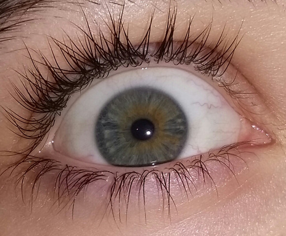 Welche Augenfarbe Habe Ich Sry Augen Welche Augenfarbe Habe Ich Sry Augen