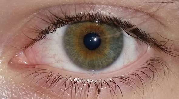 Welche Augenfarbe Habe Ich Wie Haufig Kommt Sie Vor Augen Iris Welche Augenfarbe Habe Ich Wie Haufig Kommt Sie Vor Augen Iris