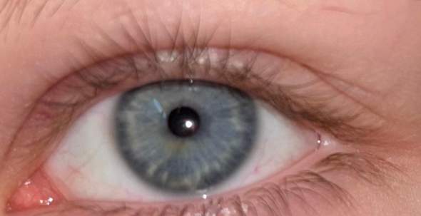 Bild zum Beitrag