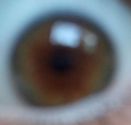Bild zum Beitrag