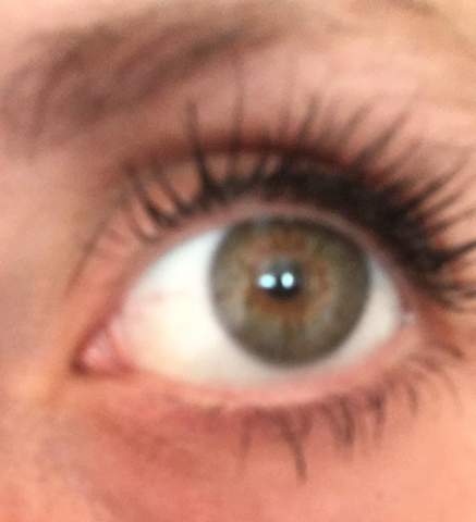 Get Gruene augen froschnatur Desktop Wallpaper Free Gruene Augen Froschnatur