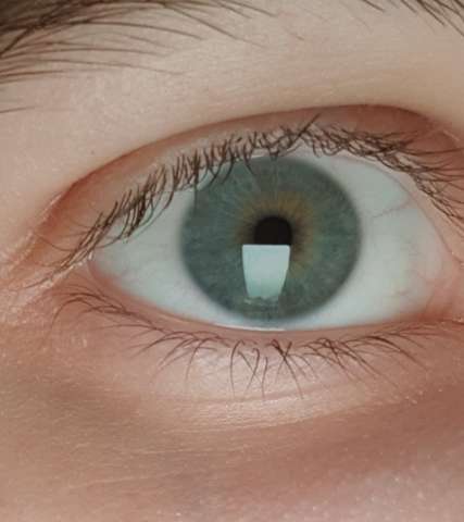 - (Augen, Farbe)