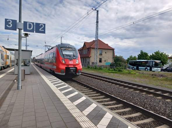 Bild zum Beitrag