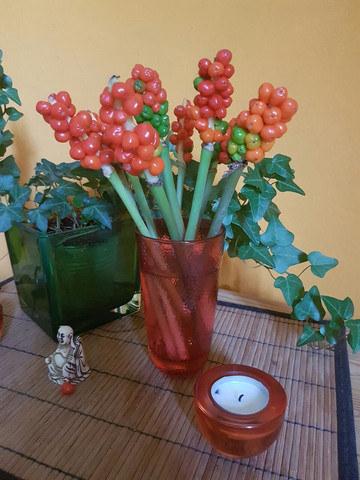 Pflanze - (Blumen, Botanik)