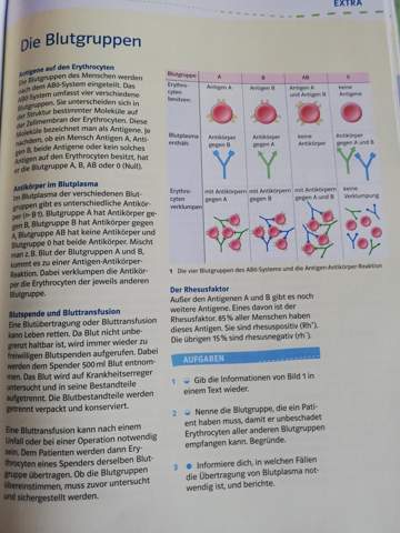 Welche Blutgruppe Muss Ein Patient Haben Um Unbeschadet Alle Erythocyten Aller Blutgruppe Empfangen Zu Konnen Schule Korper Biologie Welche Blutgruppe Muss Ein Patient Haben Um Unbeschadet Alle Erythocyten Aller Blutgruppe Empfangen Zu Konnen Schule Korper Biologie