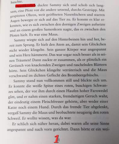Bild zum Beitrag