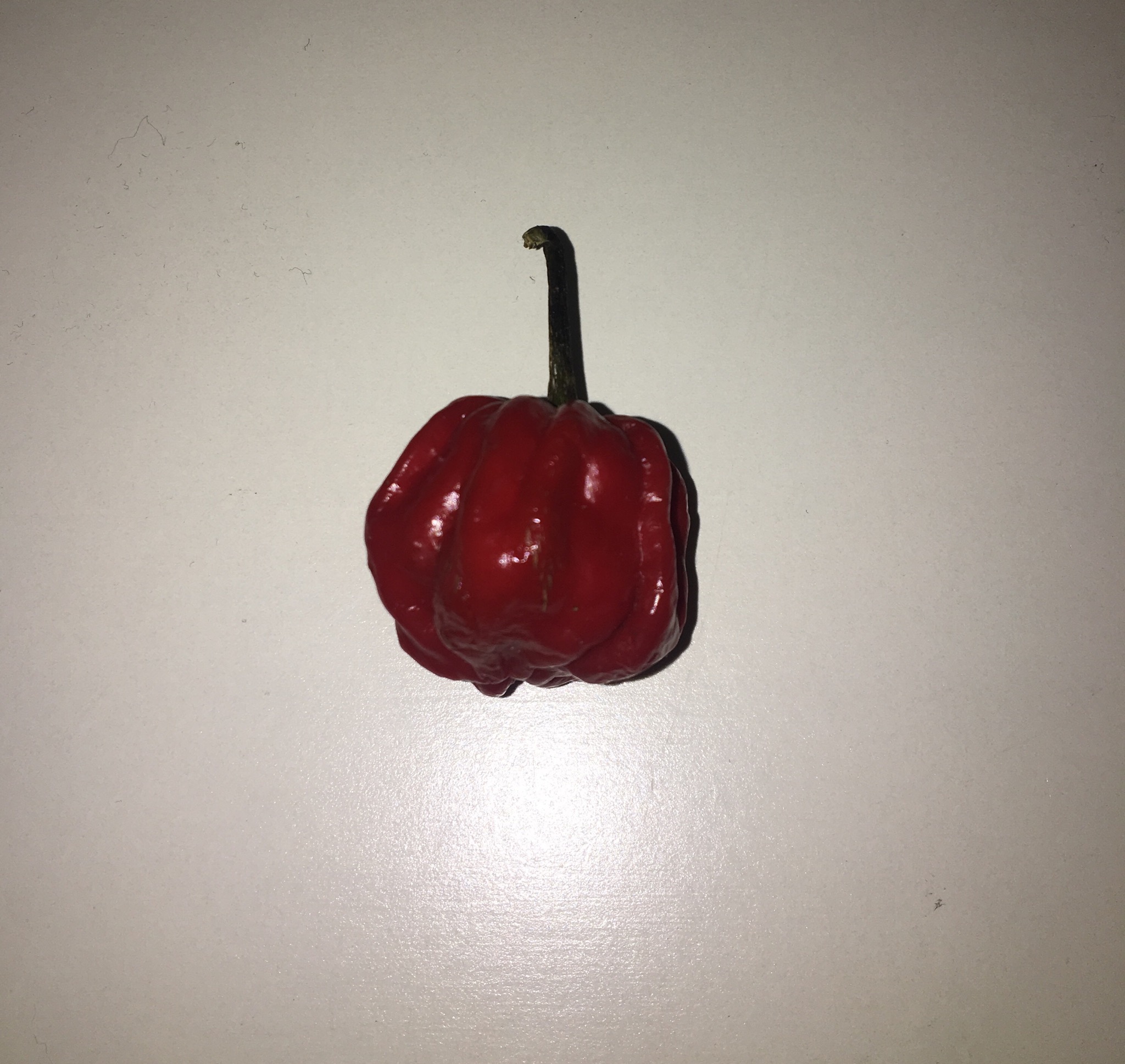 Wie Viel Scoville Hat Der Schärfste Chip Der Welt