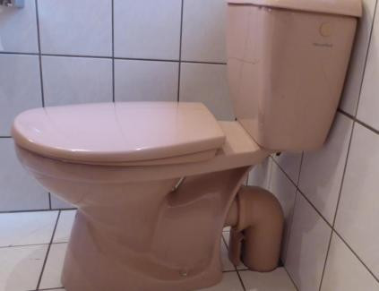 Welche Dichtung brauch ich für Stand-WC? (Toilette, Sanitär)