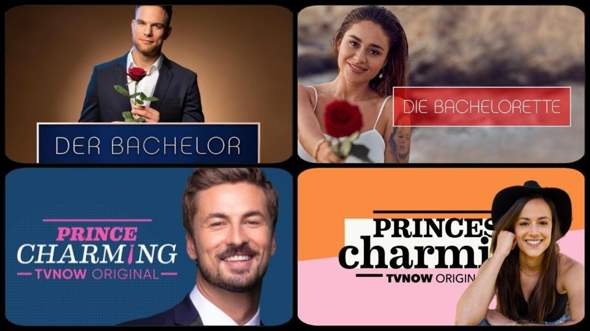 Welche dieser vier ähnlichen Datingshows gefällt dir am besten?
