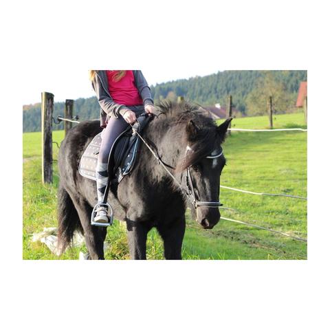 Mein Ponylein :D - (Mode, Pferd, Reiten)