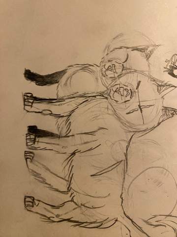 Bild zum Beitrag
