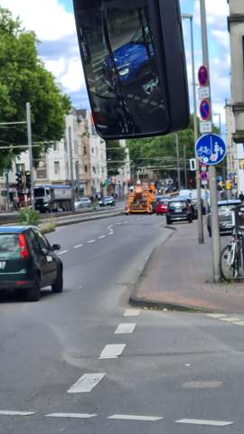 Bild zum Beitrag