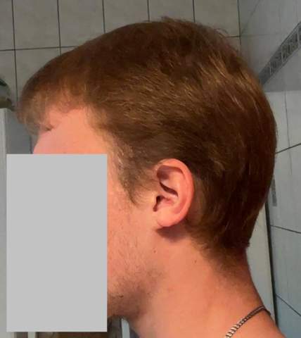 Bild zum Beitrag