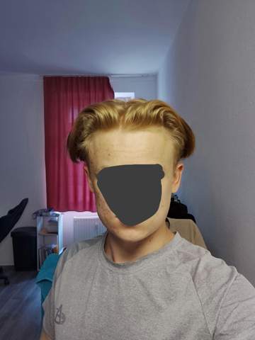 Bild zum Beitrag