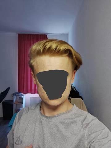 Bild zum Beitrag