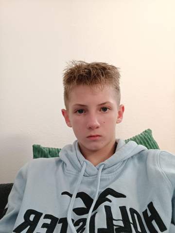 Bild zum Beitrag