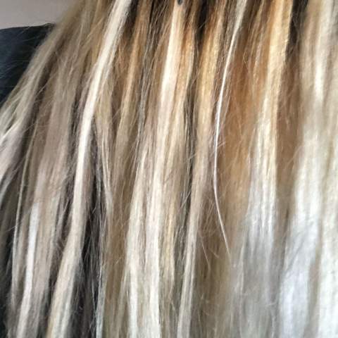 Meine Haare aktuell mit dem fleckigen grau  - (Haare, Beauty, Friseur)