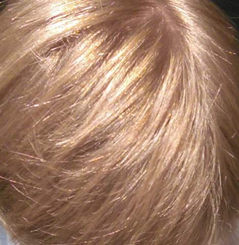 Welche Haarfarbe habe ich | Orang/Gelb/Rotstich?