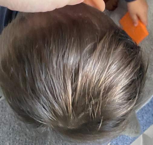 Welche Haarfarbe hat mein Sohn (2)?