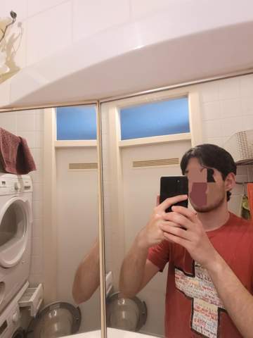 Bild zum Beitrag