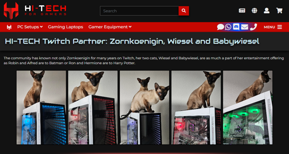 Bild zum Beitrag