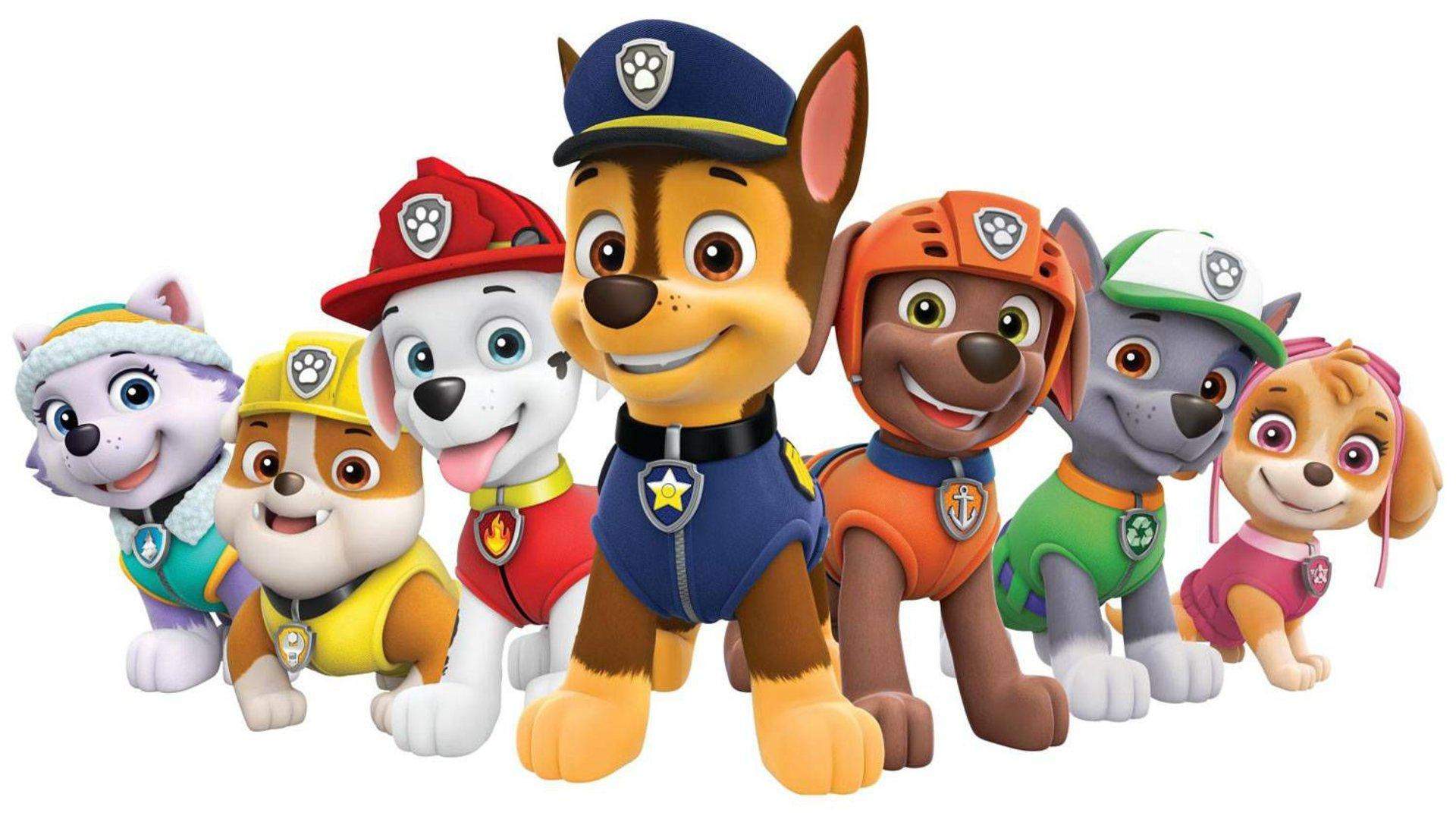 Welche Hunderassen? (Hund, Paw Patrol)